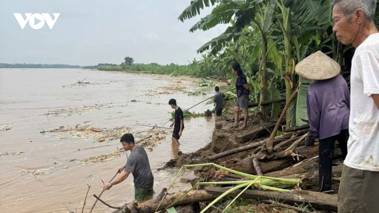 Phú Thọ: Sạt lở nghiêm trọng sát đỉnh kè bờ sông Hồng, đoạn qua xã Lâm Thao
