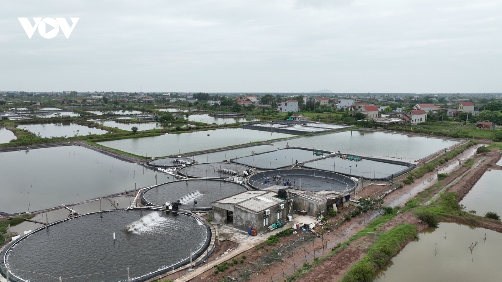 Trắng tay sau bão số 3, người nuôi thủy sản ở Ninh Bình chưa biết làm lại từ đâu