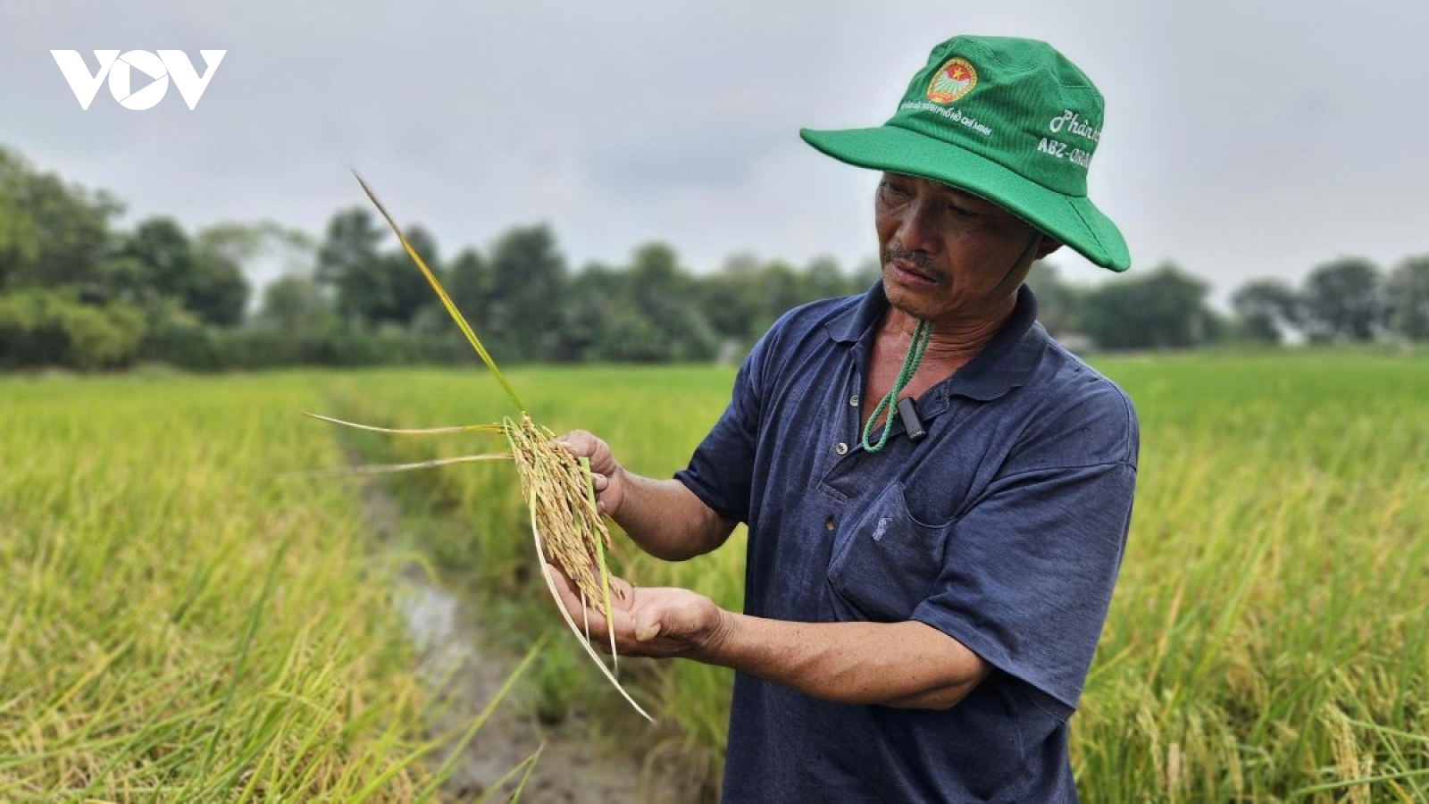 Tắc nghẽn địa chỉ hành chính mới, doanh nghiệp TP.HCM 'đứng ngồi không yên'