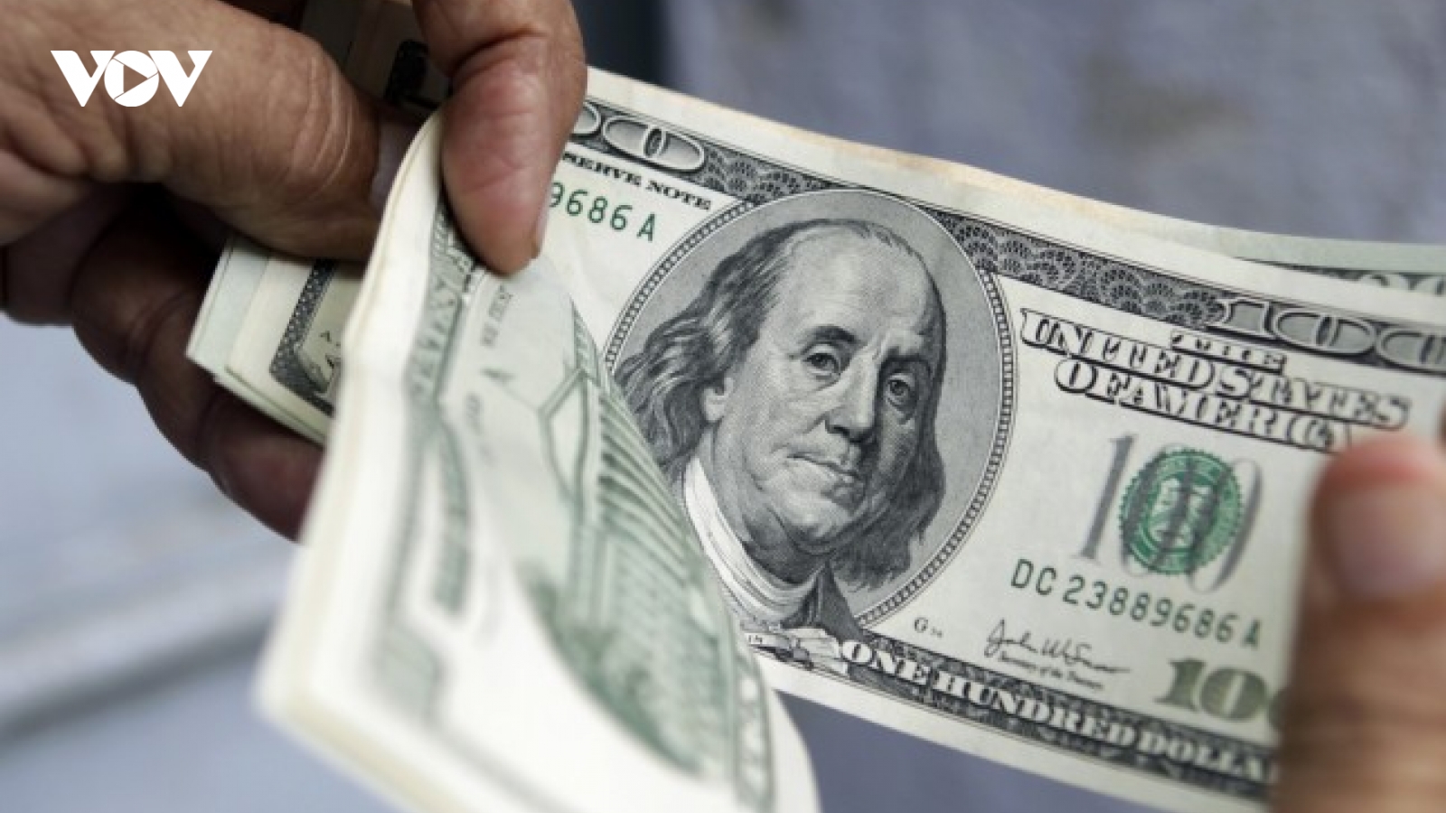 Tỷ giá USD hôm nay 14/8: Tỷ giá trung tâm giảm xuống còn 25.240 đồng/USD