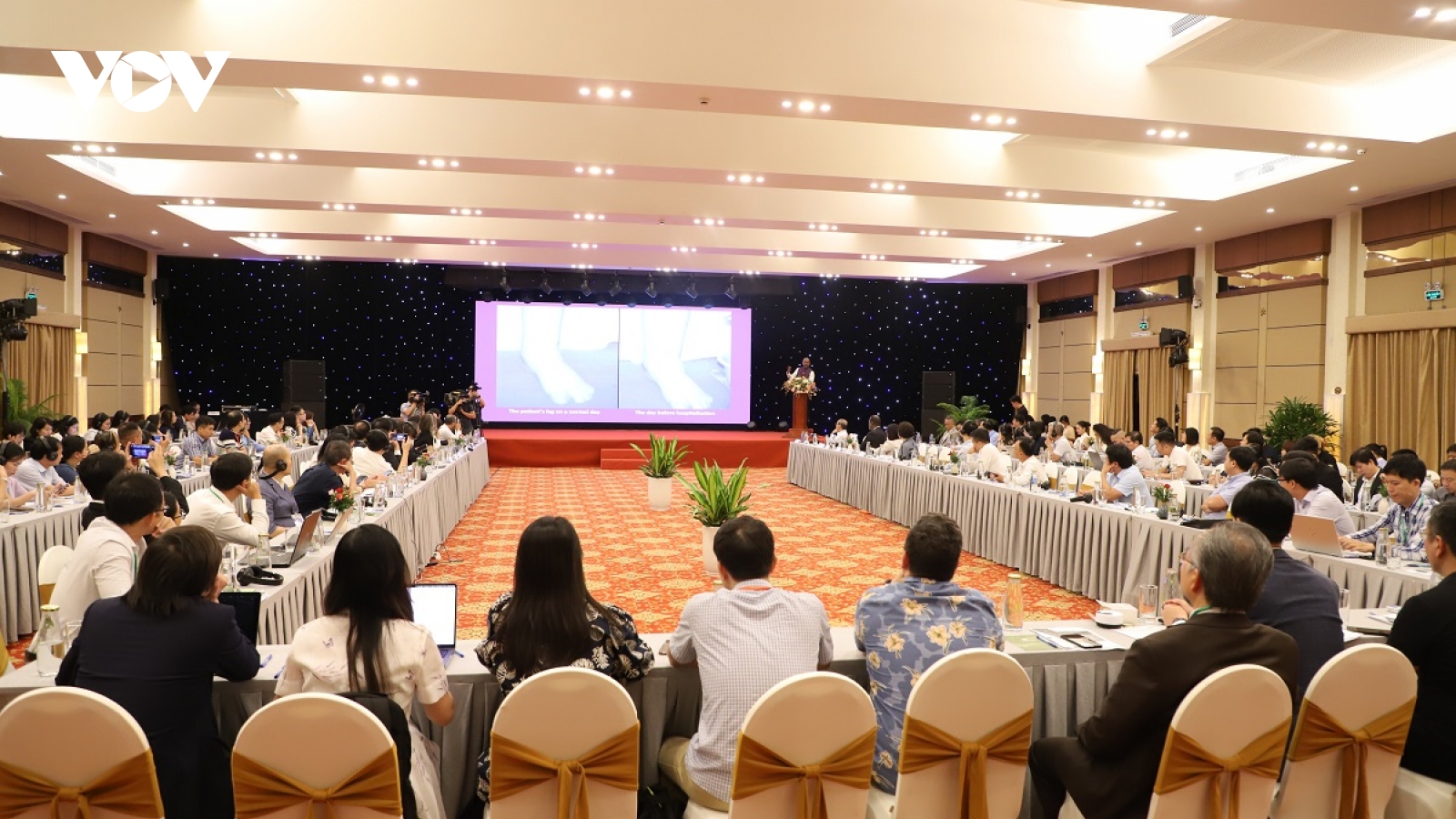 Hơn 100 chuyên gia cùng đề xuất chiến lược phát triển R&D tại Việt Nam