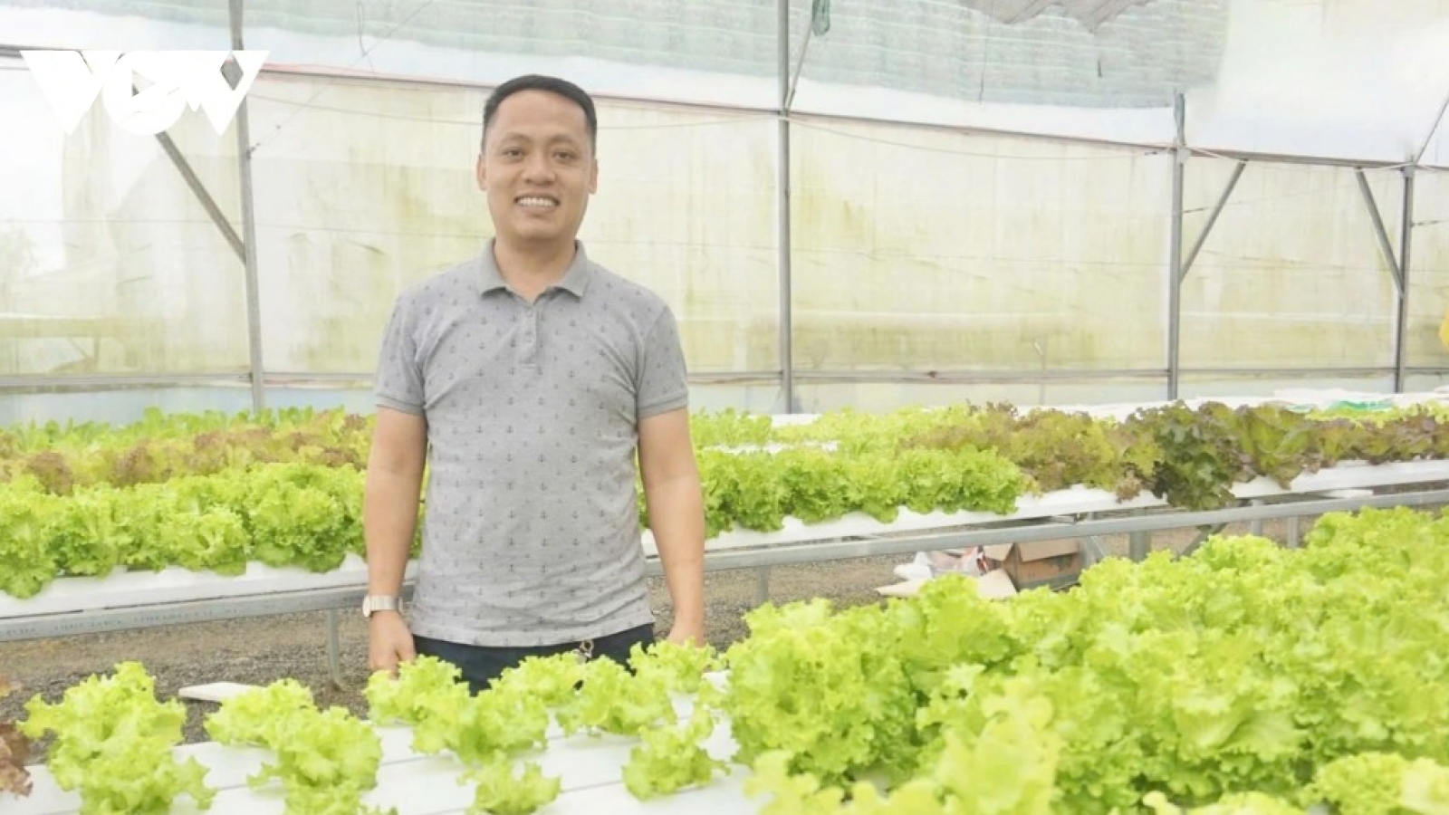 Đà Nẵng ứng dụng công nghệ cao vào sản xuất nông nghiệp