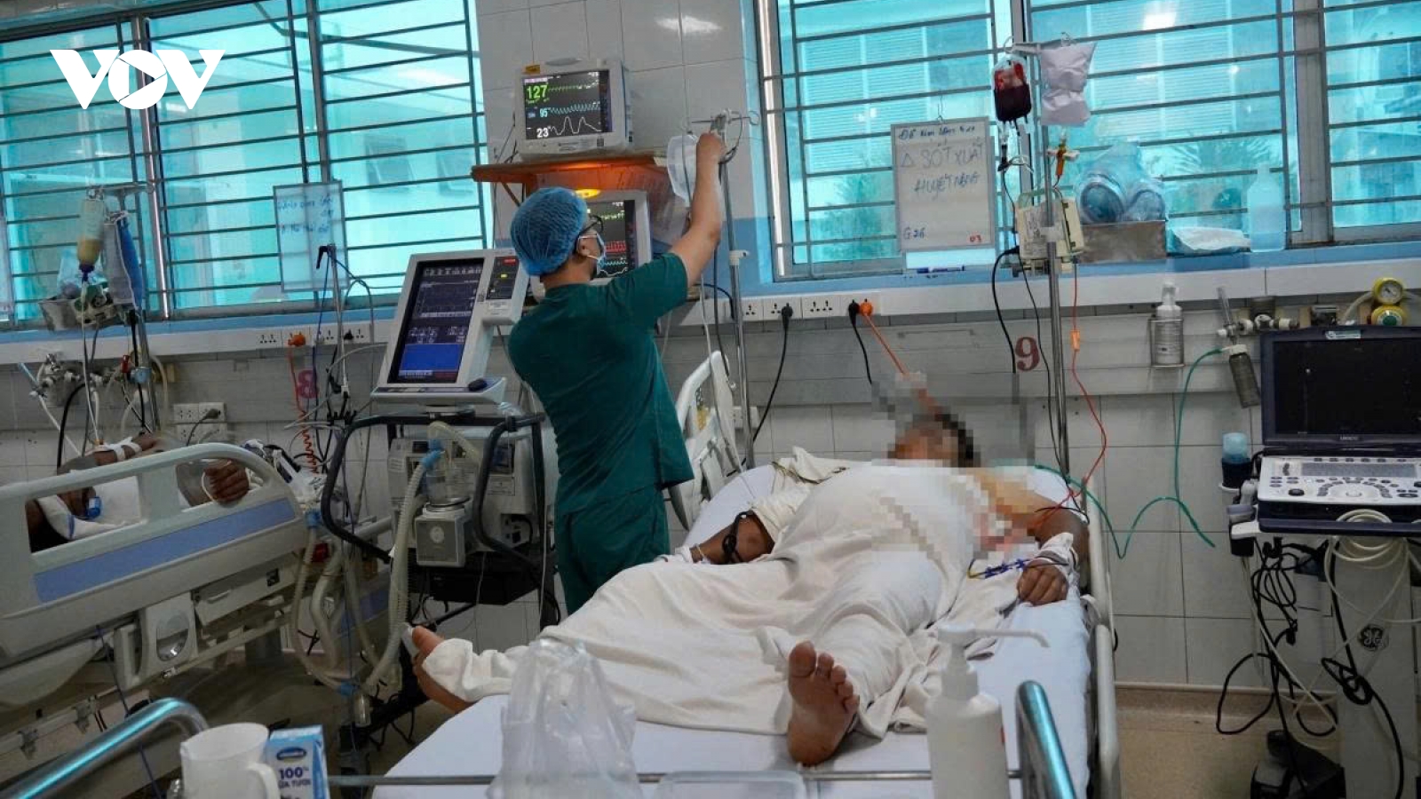 HCM City steps up dengue prevention amid surge in cases and deaths