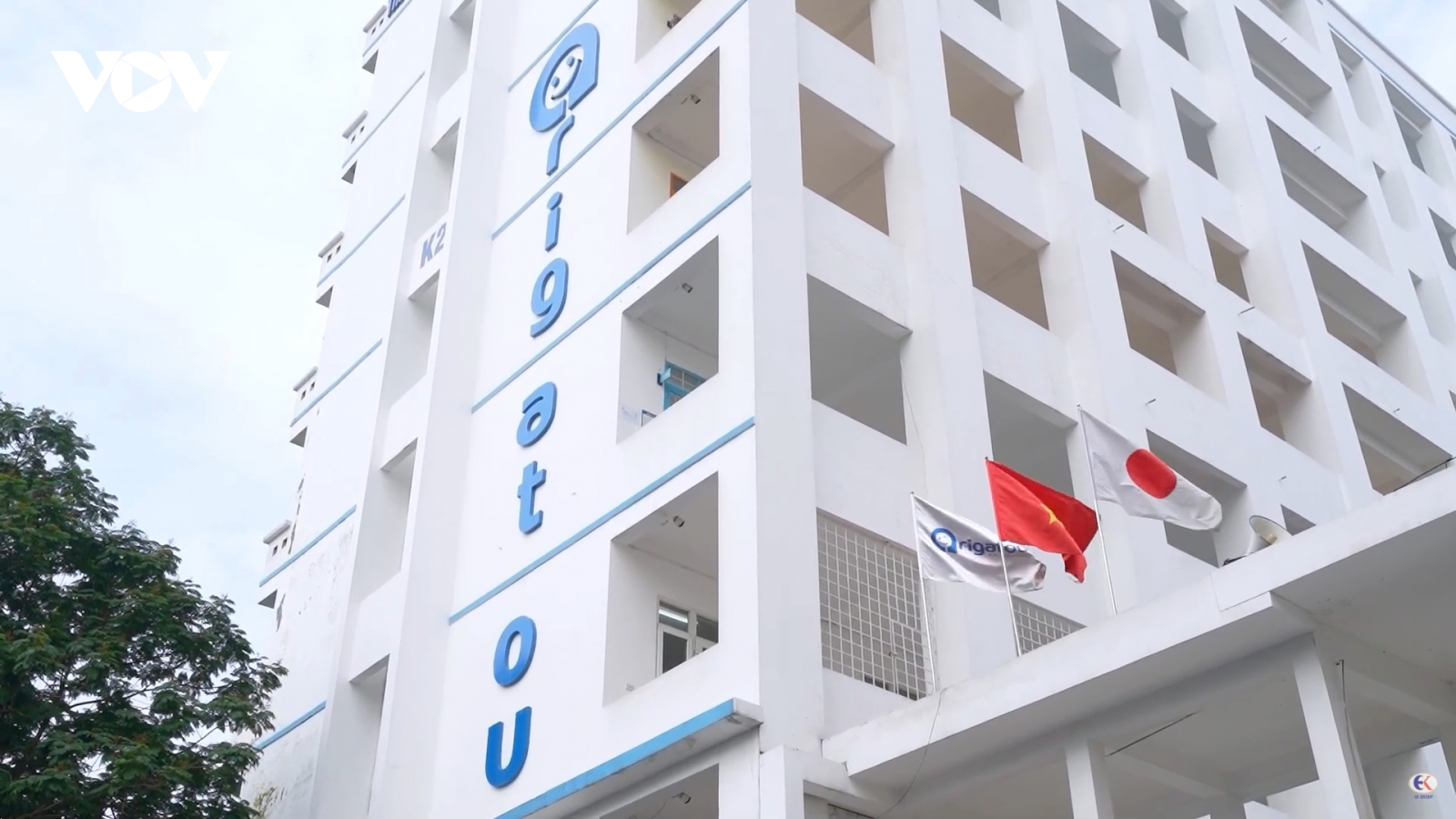 Cơ hội cho thực tập sinh Việt vươn ra Nhật Bản ngành thực phẩm