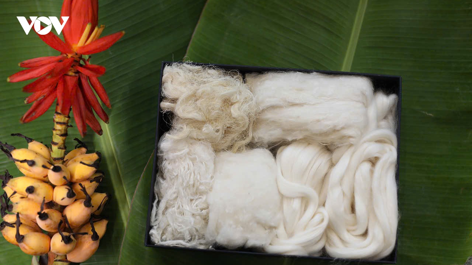 “Bảo vệ môi trường mới là mục tiêu của tôi”