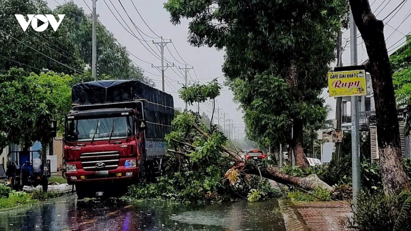 Mưa dông làm đổ ngã nhiều cây xanh, trụ điện, tốc mái nhiều công trình, nhà kho ở Đồng Tháp