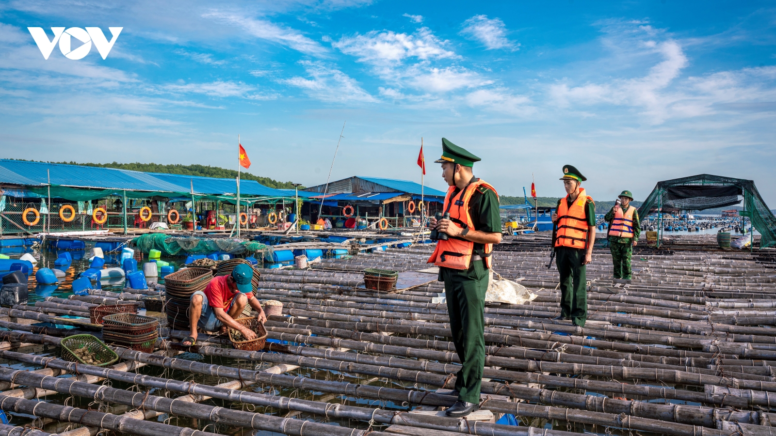 TP.HCM đưa gần 1.600 tàu thuyền vào bờ, Côn Đảo kích hoạt phương án ứng phó