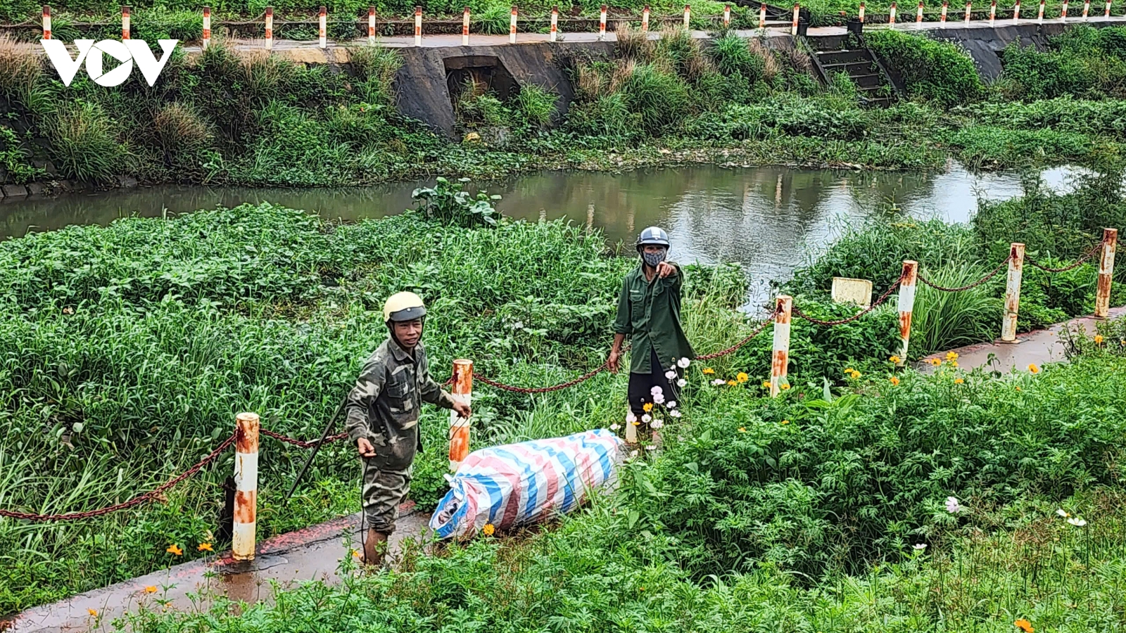 Gia Lai khẩn trương xử lý tình trạng vứt xác lợn chết gây ô nhiễm