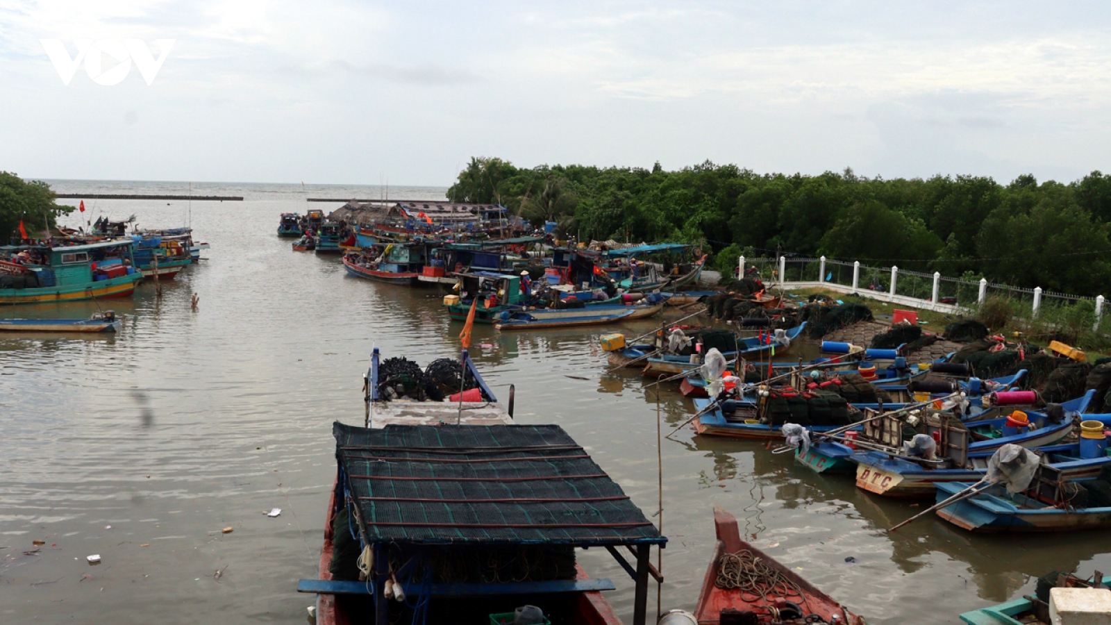 Thiếu niên tử vong khi bị lưới kéo xuống biển Cà Mau