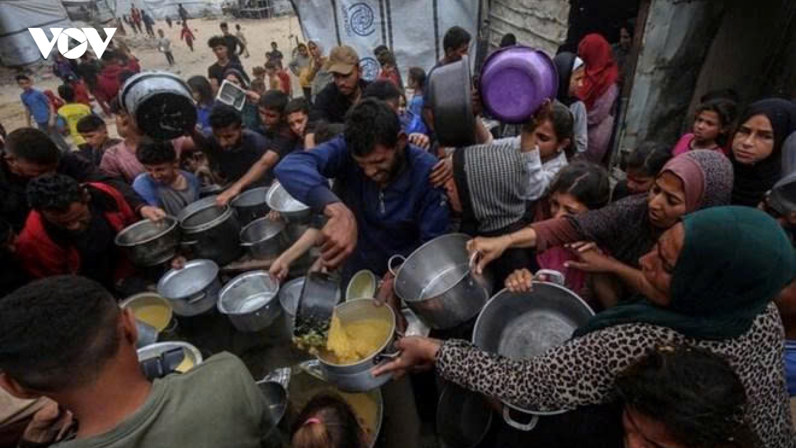 Israel bị tố cáo tấn công người chờ nhận hàng cứu trợ ở Gaza
