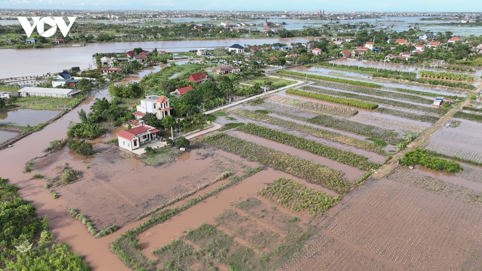 Mưa như trút do bão số 3, người dân Ninh Bình trắng tay chỉ sau một đêm