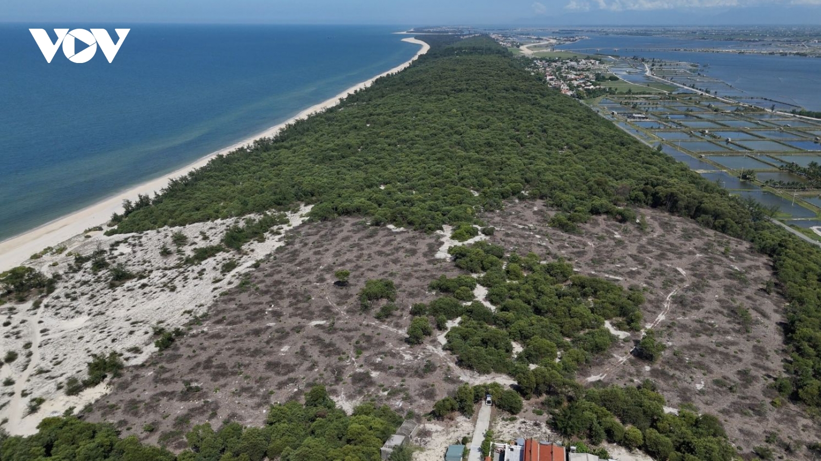 Chuyển hồ sơ sang công an TP. Huế vụ thanh lý 8ha rừng tại phường Phong Quảng