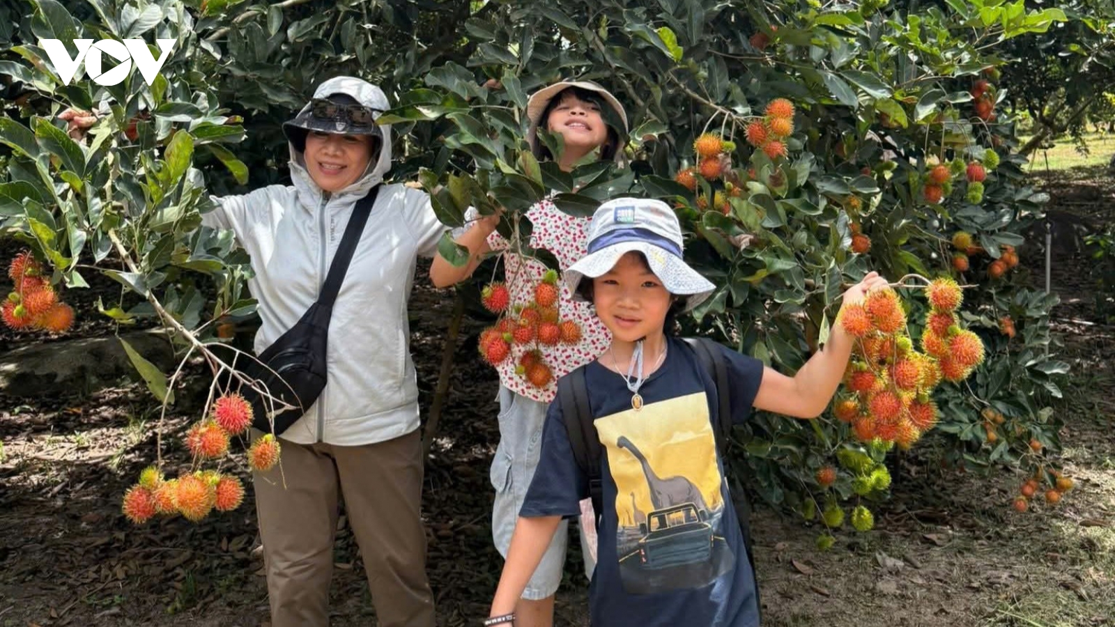 Phát triển du lịch miền núi Khánh Hòa dựa vào văn hóa bản địa và kinh tế vườn