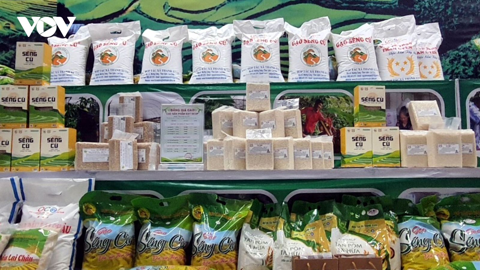 Loạt ngành hàng xuất khẩu Việt Nam đang có cơ hội mở rộng thị trường