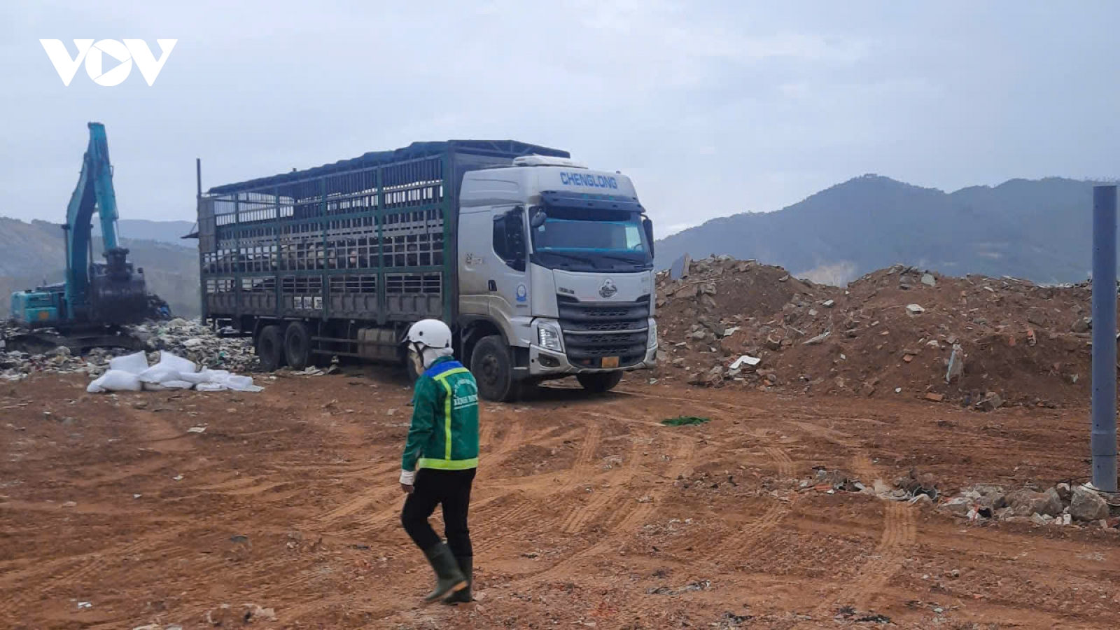 Gia Lai tiêu hủy khẩn cấp 54 con lợn nghi nhiễm bệnh