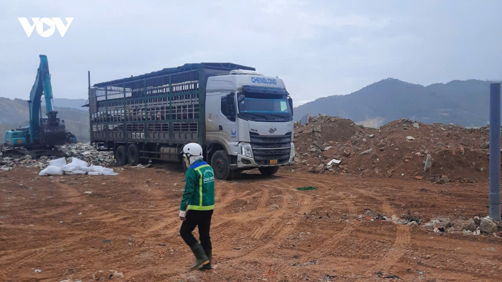 Gia Lai tiêu hủy khẩn cấp 54 con lợn nghi nhiễm bệnh