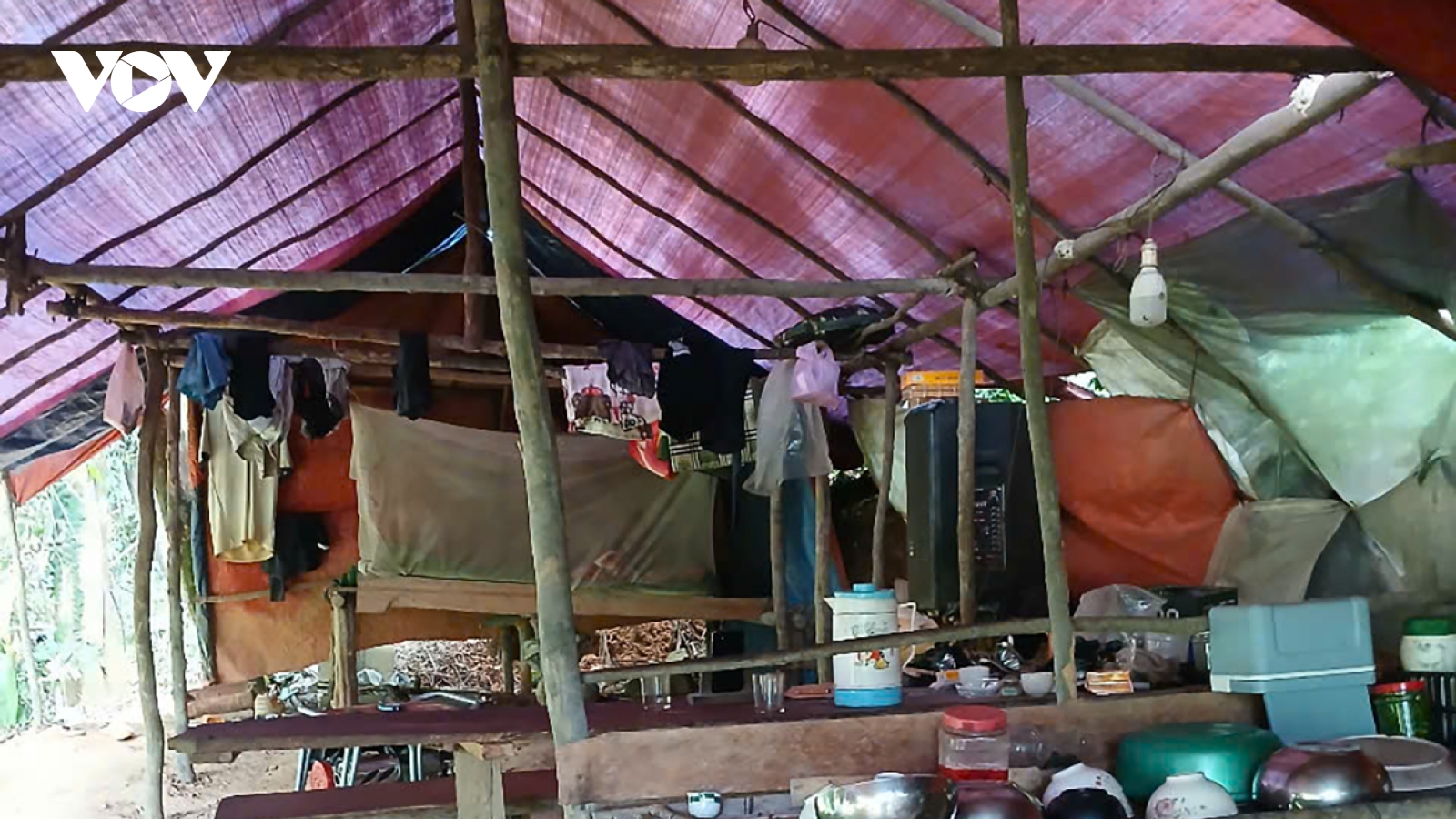 “Vàng tặc” ngang nhiên dựng lán giữa rừng phòng hộ ở Quảng Trị