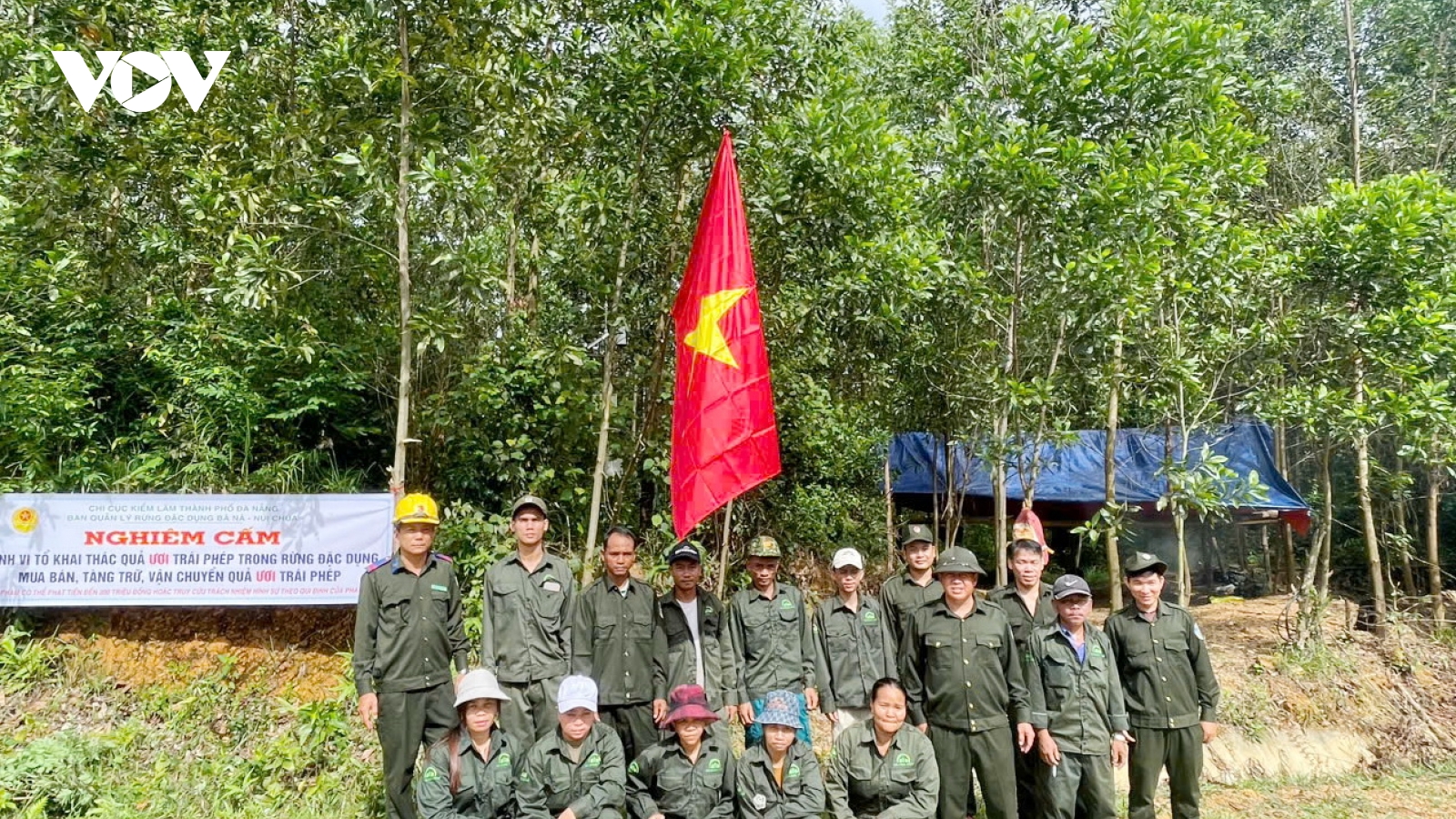 Đà Nẵng, tăng cường công tác bảo vệ rừng trong mùa khai thác ươi
