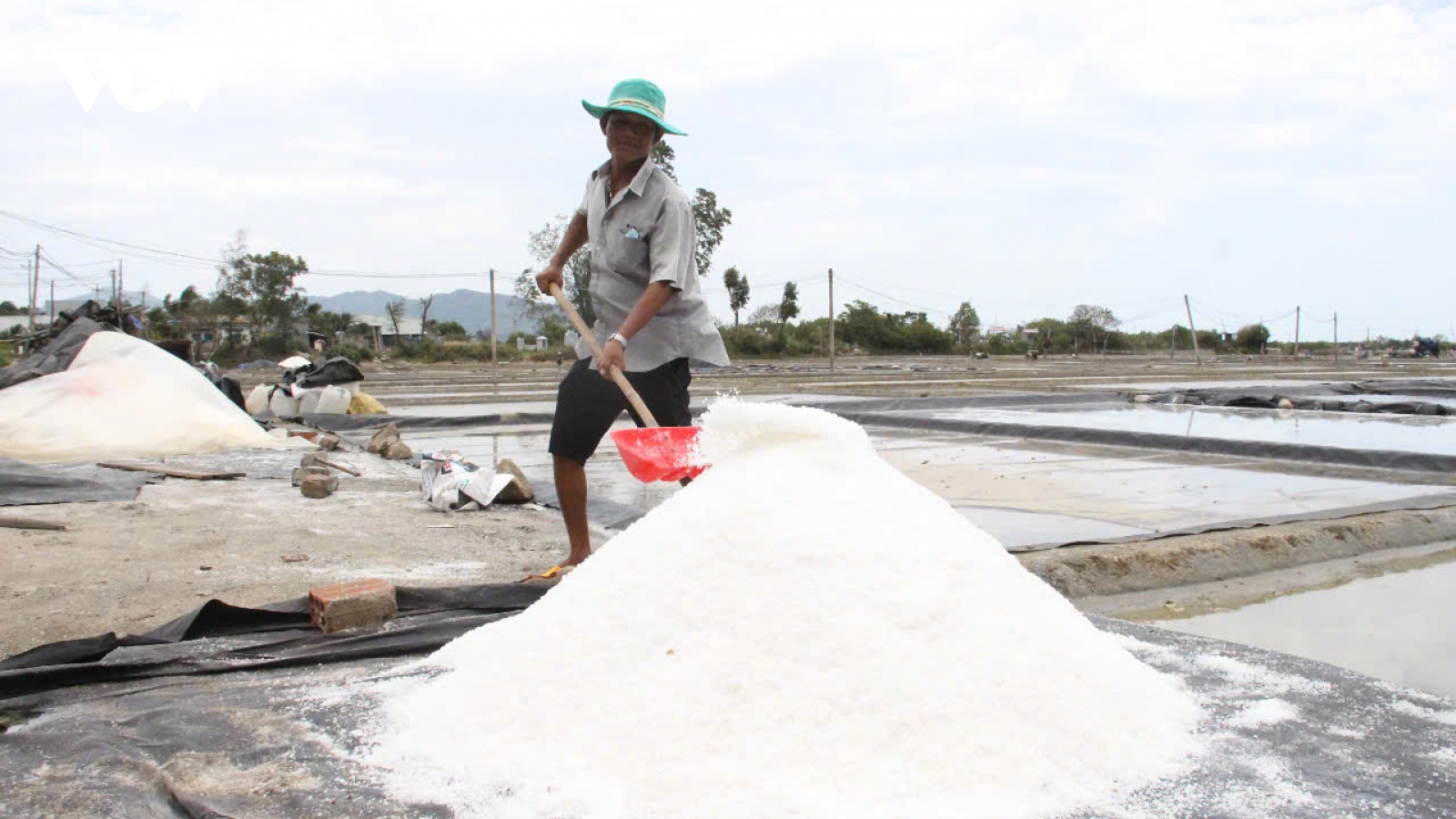 Thời tiết thất thường, người làm muối tại Gia Lai gặp khó