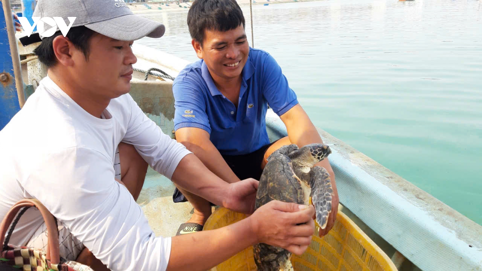 Gia Lai tăng cường bảo vệ các loài động vật biển quý hiếm