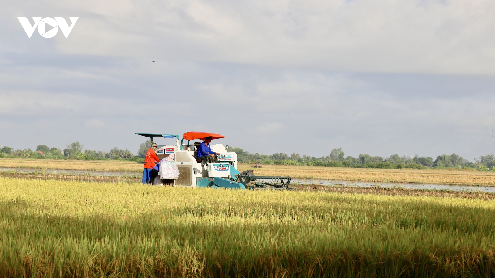 Nông nghiệp giảm 0,1-0,15% tăng trưởng do ảnh hưởng của thị trường và thiên tai