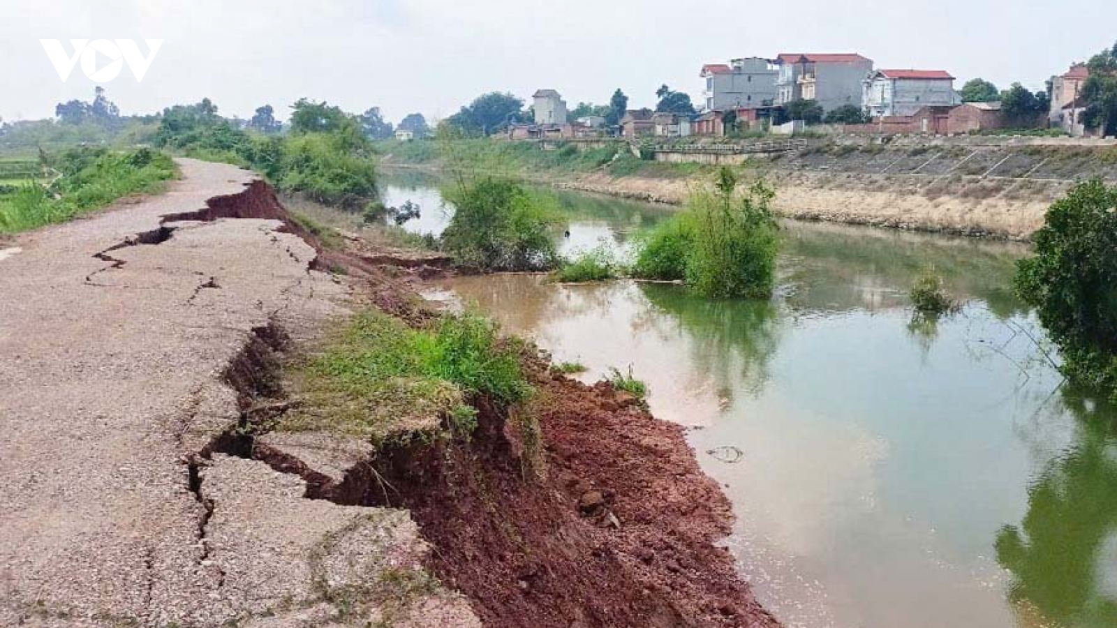 Chủ tịch tỉnh Bắc Ninh chỉ đạo tập trung đảm bảo hệ thống đê điều trong mùa mưa lũ