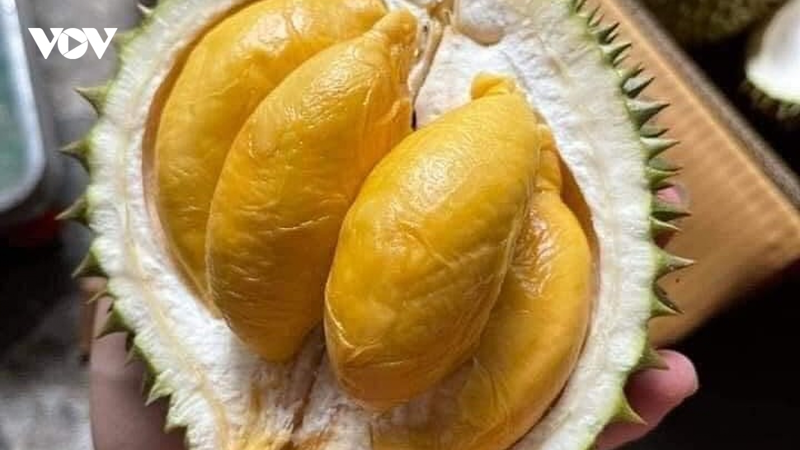 Sầu riêng giá rẻ bất ngờ, dân ăn thoải mái