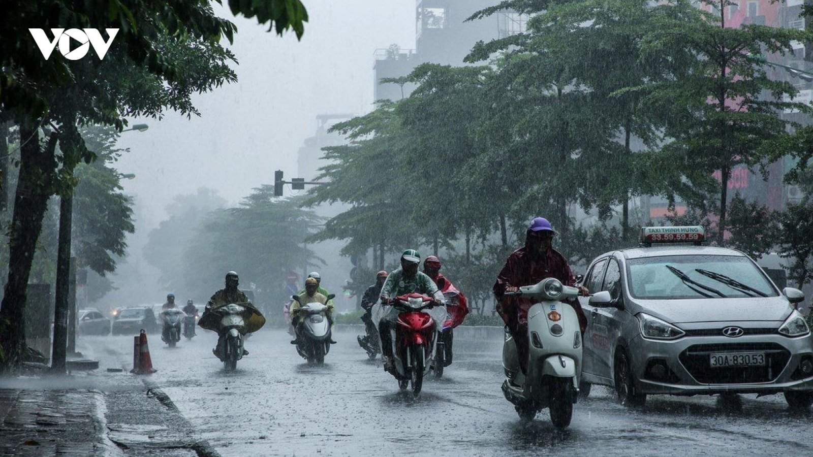 Thời tiết hôm nay 24/7: Bắc Bộ và Bắc Trung Bộ có mưa to và dông