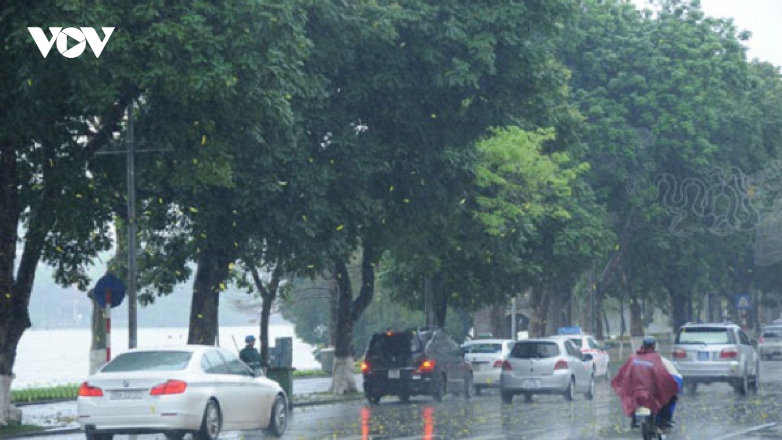 Thời tiết hôm nay 4/7: Bắc Bộ và từ Thanh Hóa đến Quảng Ngãi có mưa rào và dông