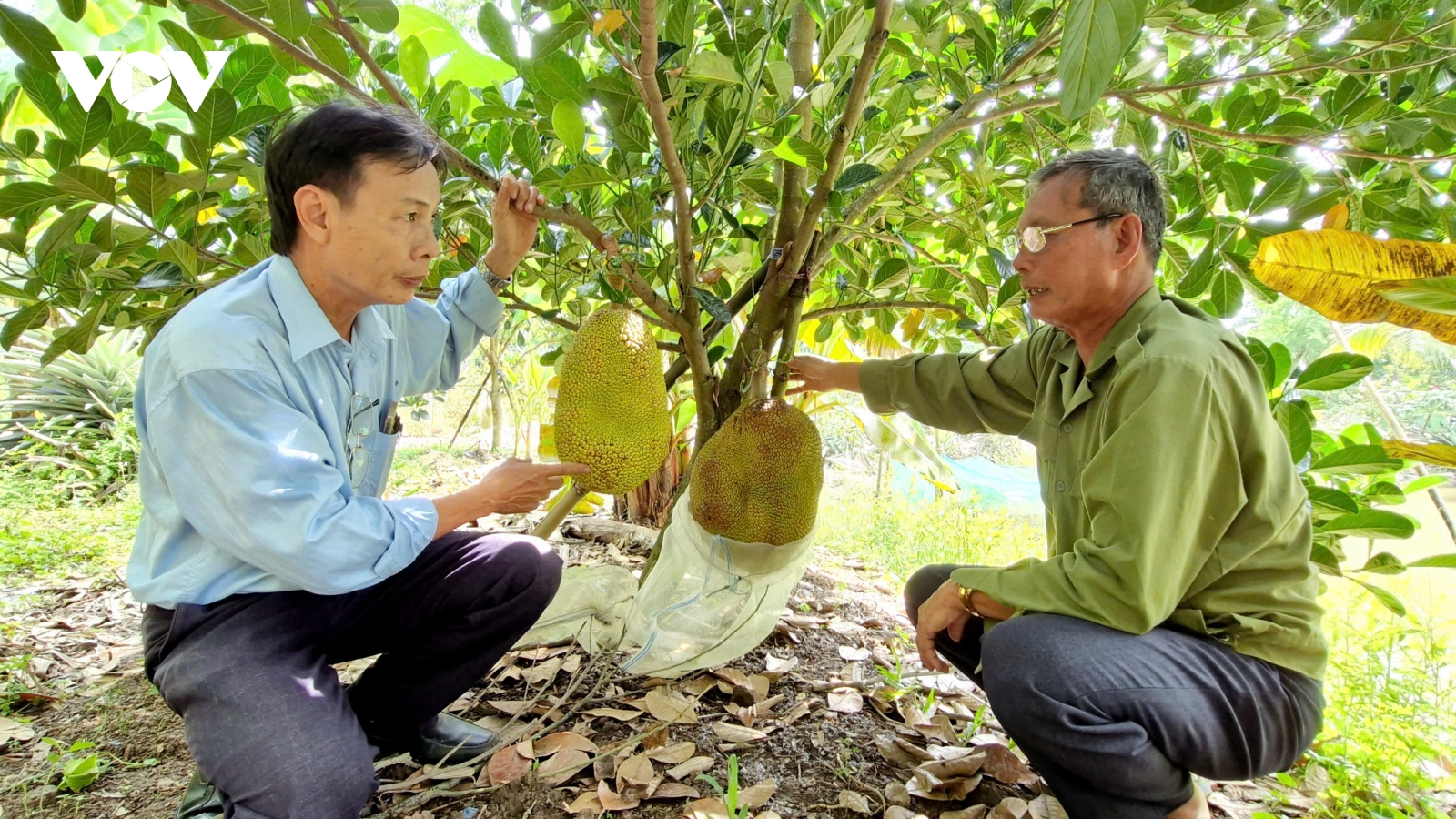 Người giữ lửa cách mạng trên quê hương Hồ Đắc Kiện, Cần Thơ