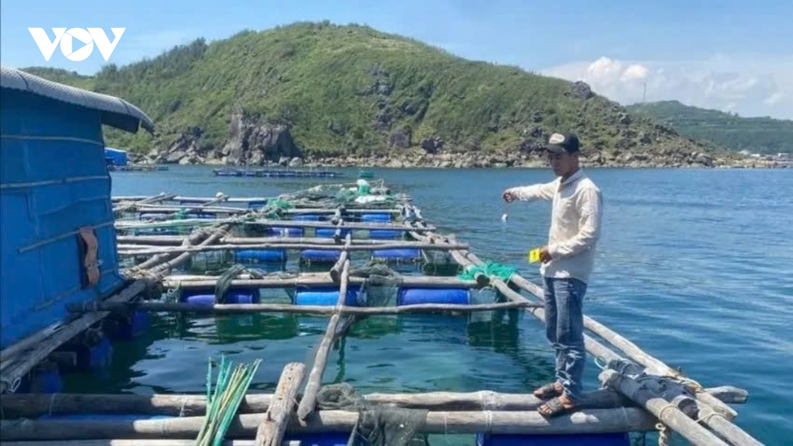 Khởi tố, bắt giam 4 đối tượng trộm tôm hùm, chiếm đoạt hơn 300 triệu đồng ở Đắk Lắk