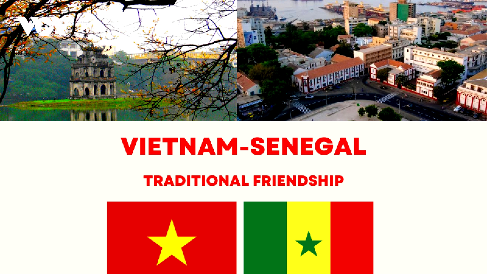 Significant milestones in Vietnam – Senegal traditional friendship