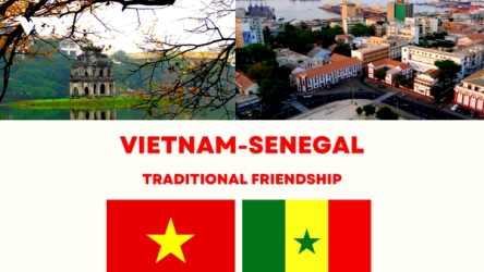 Significant milestones in Vietnam – Senegal traditional friendship
