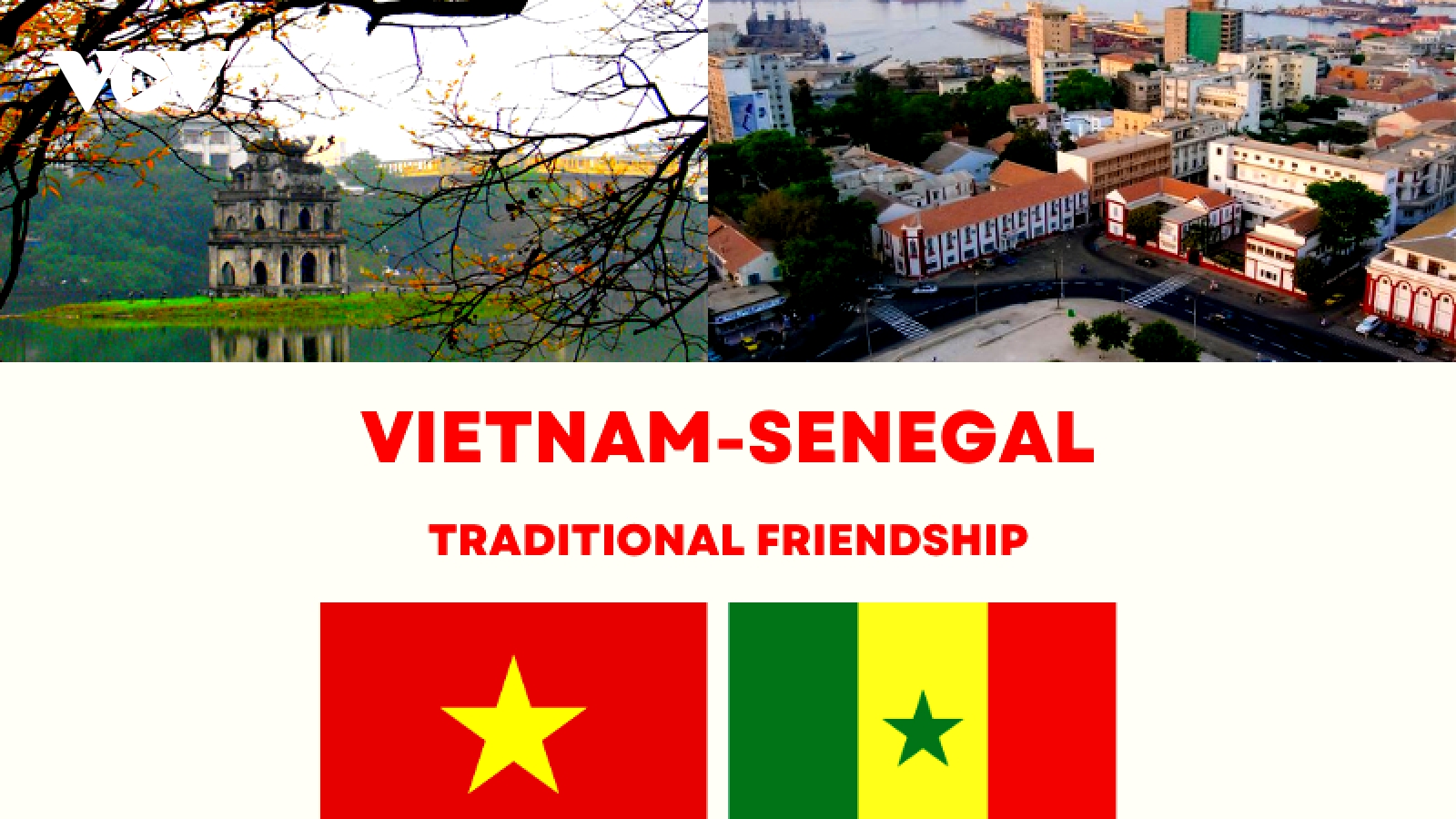 Significant milestones in Vietnam – Senegal traditional friendship
