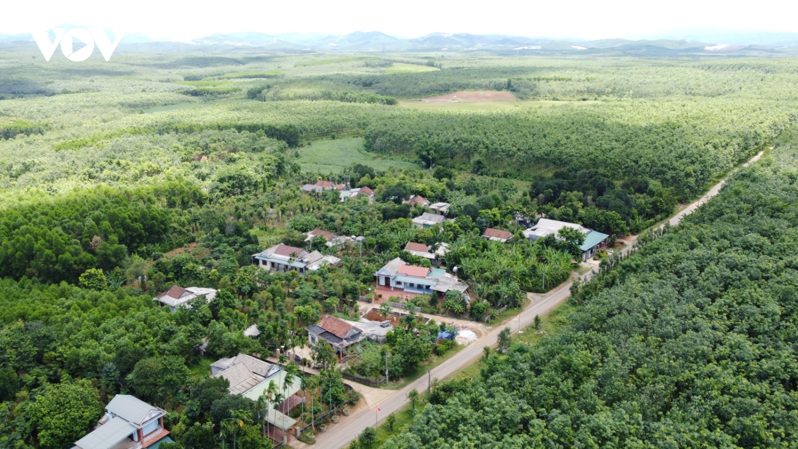 Rừng thêm xanh trên "vùng đất chết"