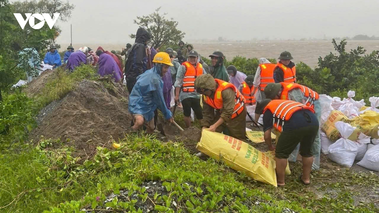 Ninh Bình: Khẩn cấp ứng cứu hàng chục mét đê bị sạt lở