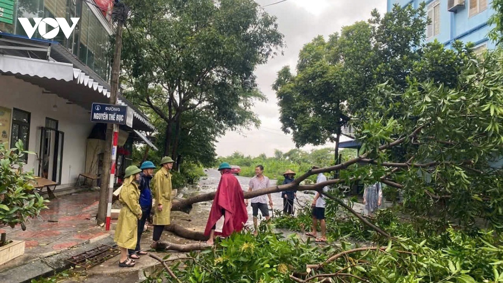 Ninh Bình: 51 hộ dân phường Trường Thi được sơ tán khẩn do ngập nặng trong đêm