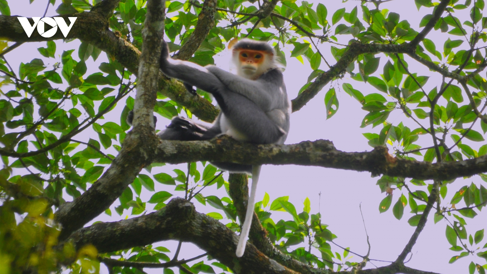 Kon Ka Kinh – Ngọc quý giữa đại ngàn Tây Nguyên