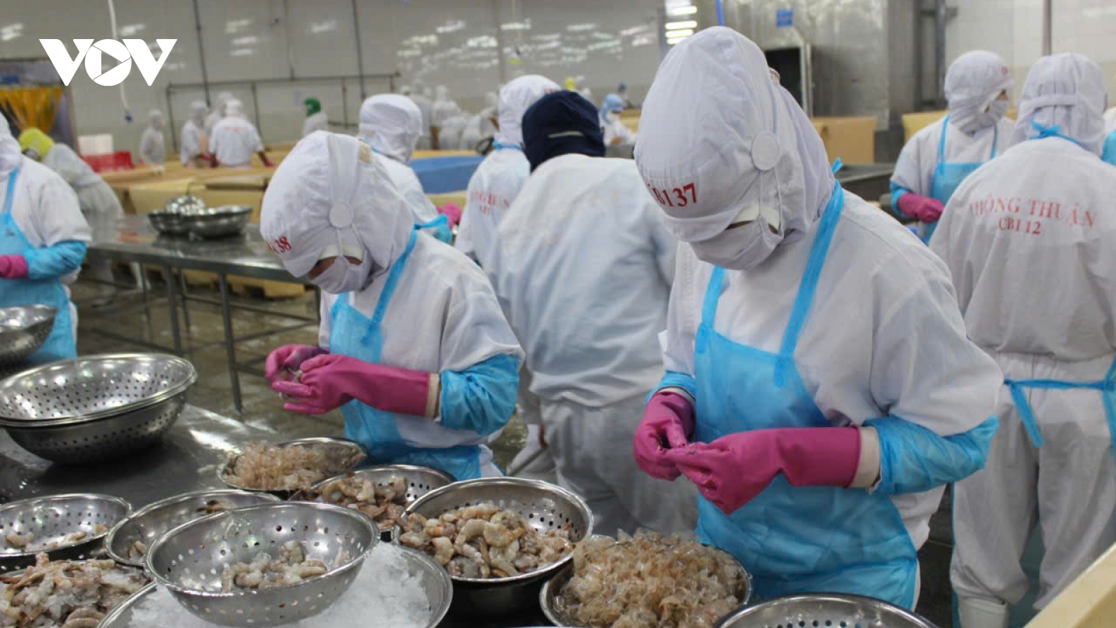 Ngành thủy sản nên bỏ tư duy thị trường nội địa là “phần thừa” của xuất khẩu