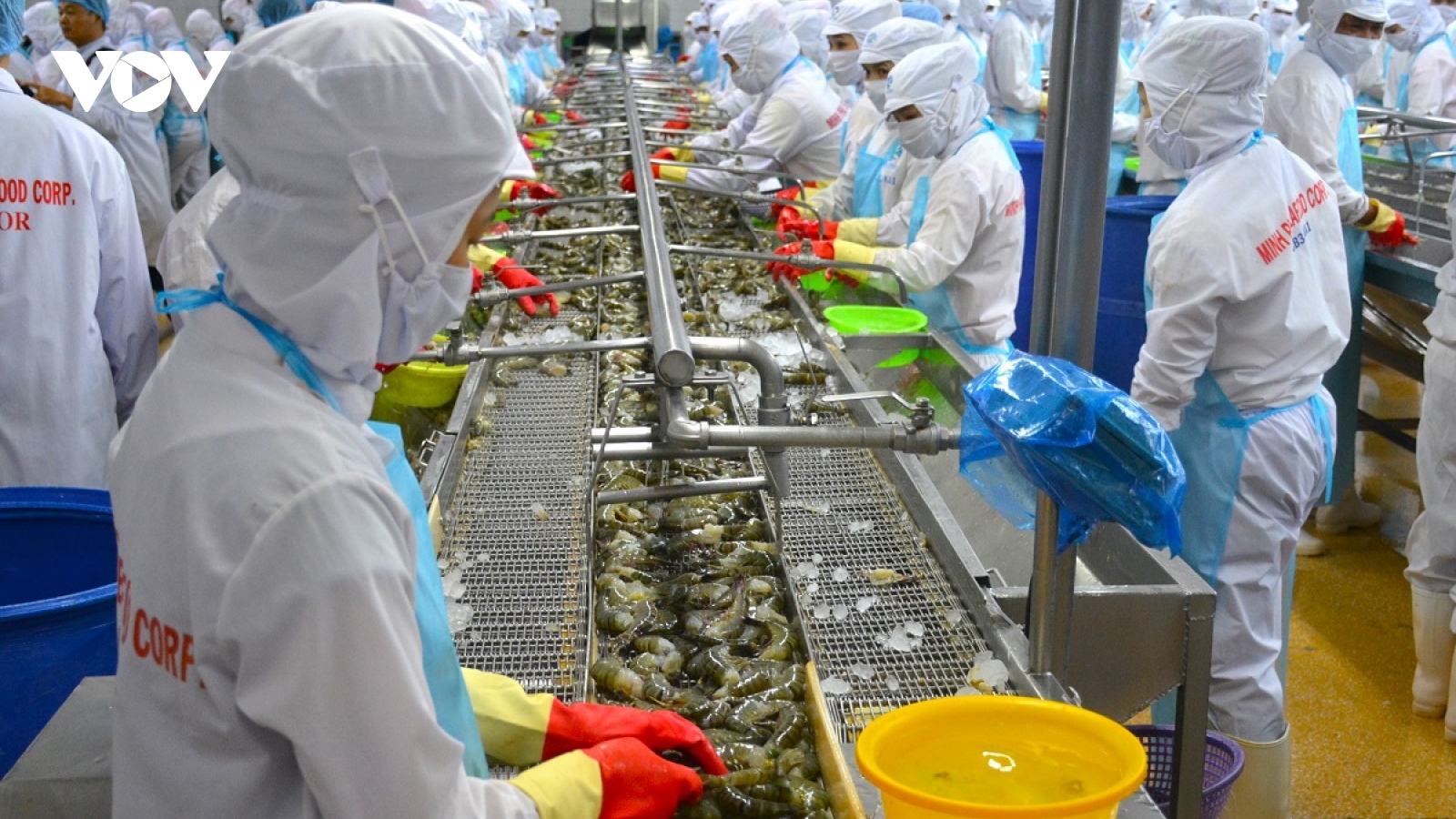 Nỗi lòng doanh nghiệp – Đụng là vướng cơ chế, khởi nghiệp thì thiếu vốn