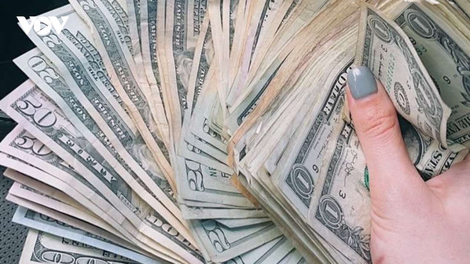 Tỷ giá USD hôm nay 28/8: Tỷ giá trung tâm giảm về mốc 25.268 đồng/USD