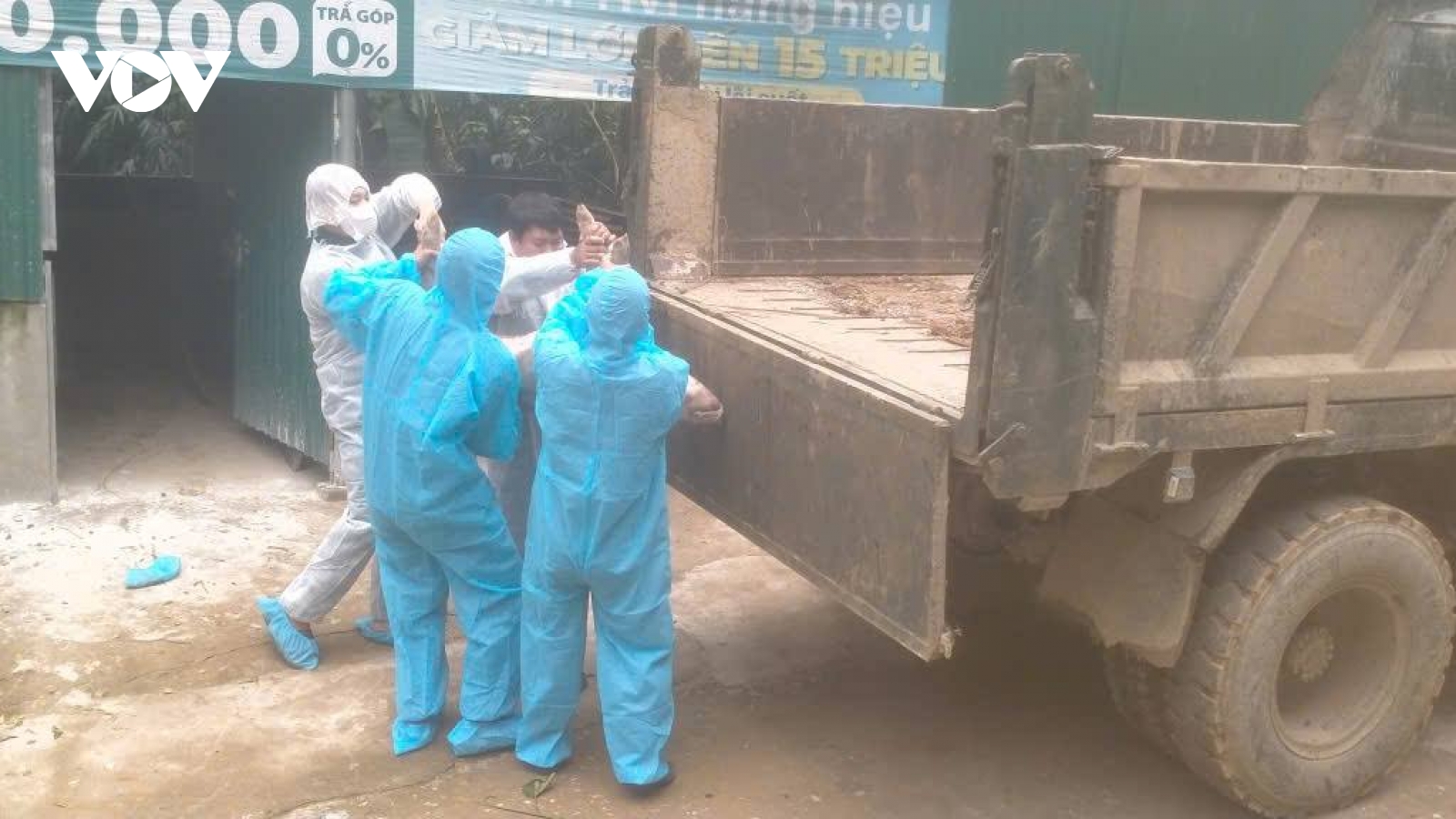 Lào Cai khẩn trương khoanh vùng, dập dịch tả lợn châu Phi