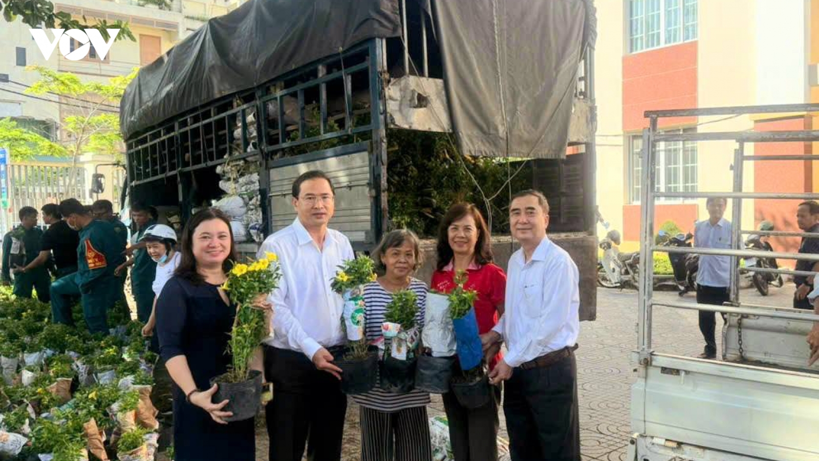 Vũng Tàu trồng 2.000 cây hoa Huỳnh Anh: Gieo mầm xanh cho đô thị đáng sống