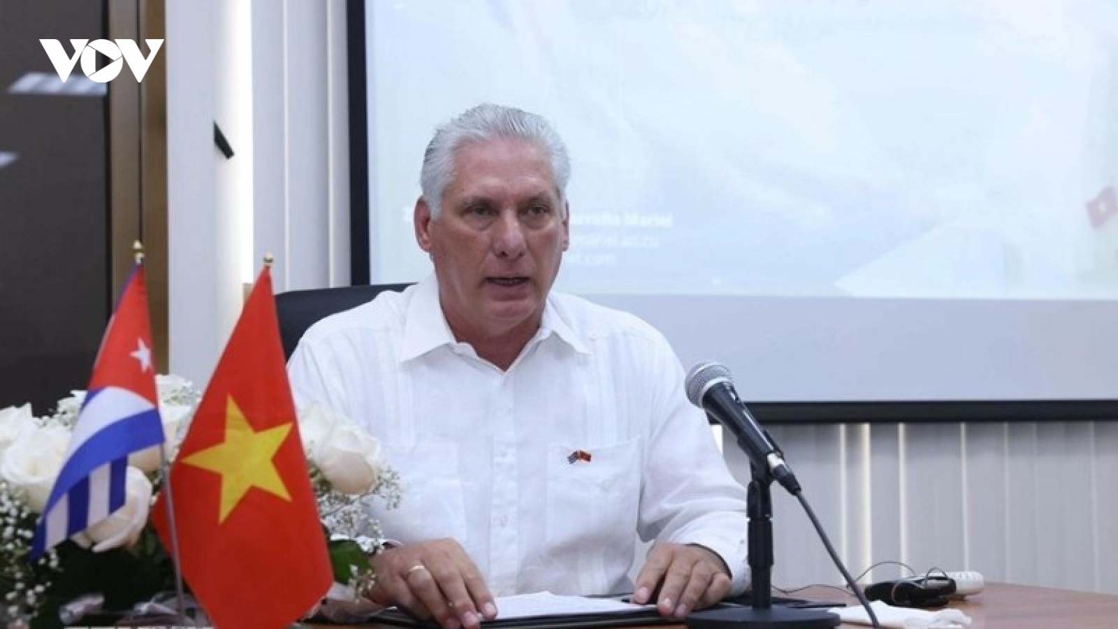 Chủ tịch nước Cộng hòa Cuba và Phu nhân thăm cấp Nhà nước Việt Nam