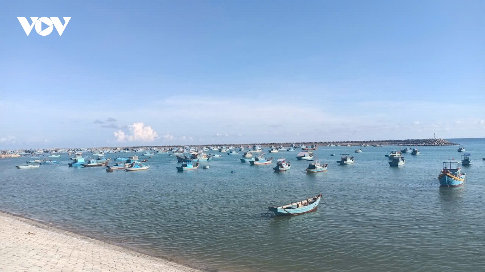 Lâm Đồng quyết tâm gỡ "thẻ vàng" IUU sớm nhất