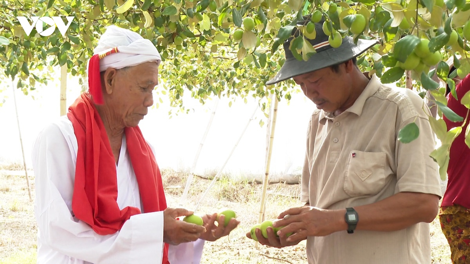 Sư cả nói, dân nghe, gỡ vướng, tạo đồng thuận cho dự án cao tốc ở Lâm Đồng