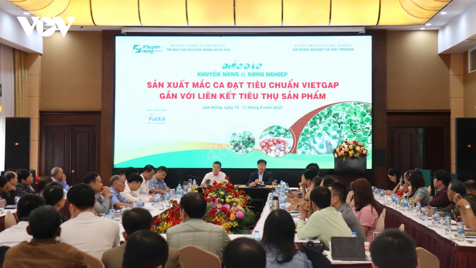 Sản xuất mắc ca đạt tiêu chuẩn VietGAP gắn với liên kết tiêu thụ sản phẩm