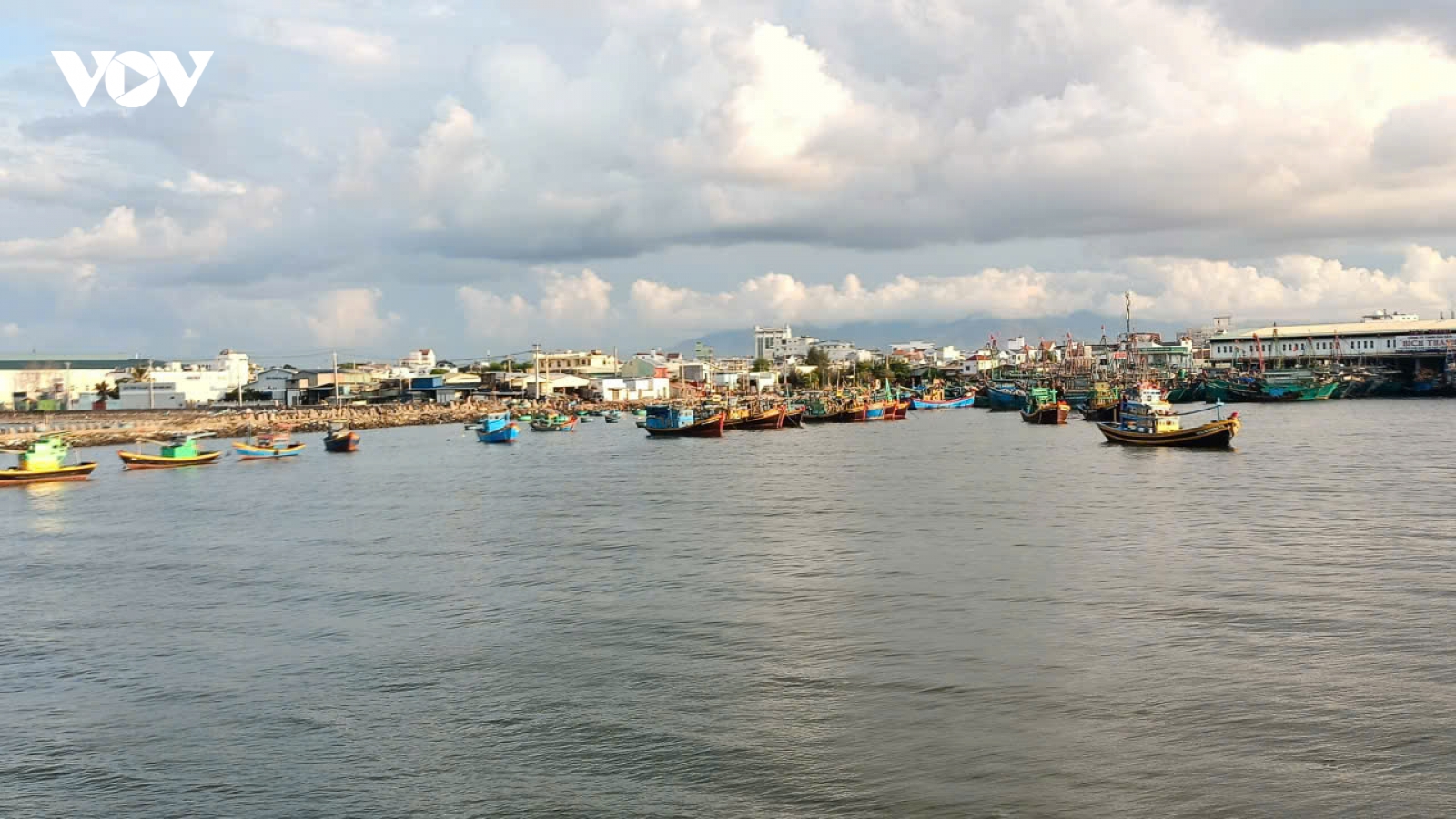 Chưa có con dấu mới, gần 800 tàu cá Lâm Đồng nằm bờ chờ đăng kiểm