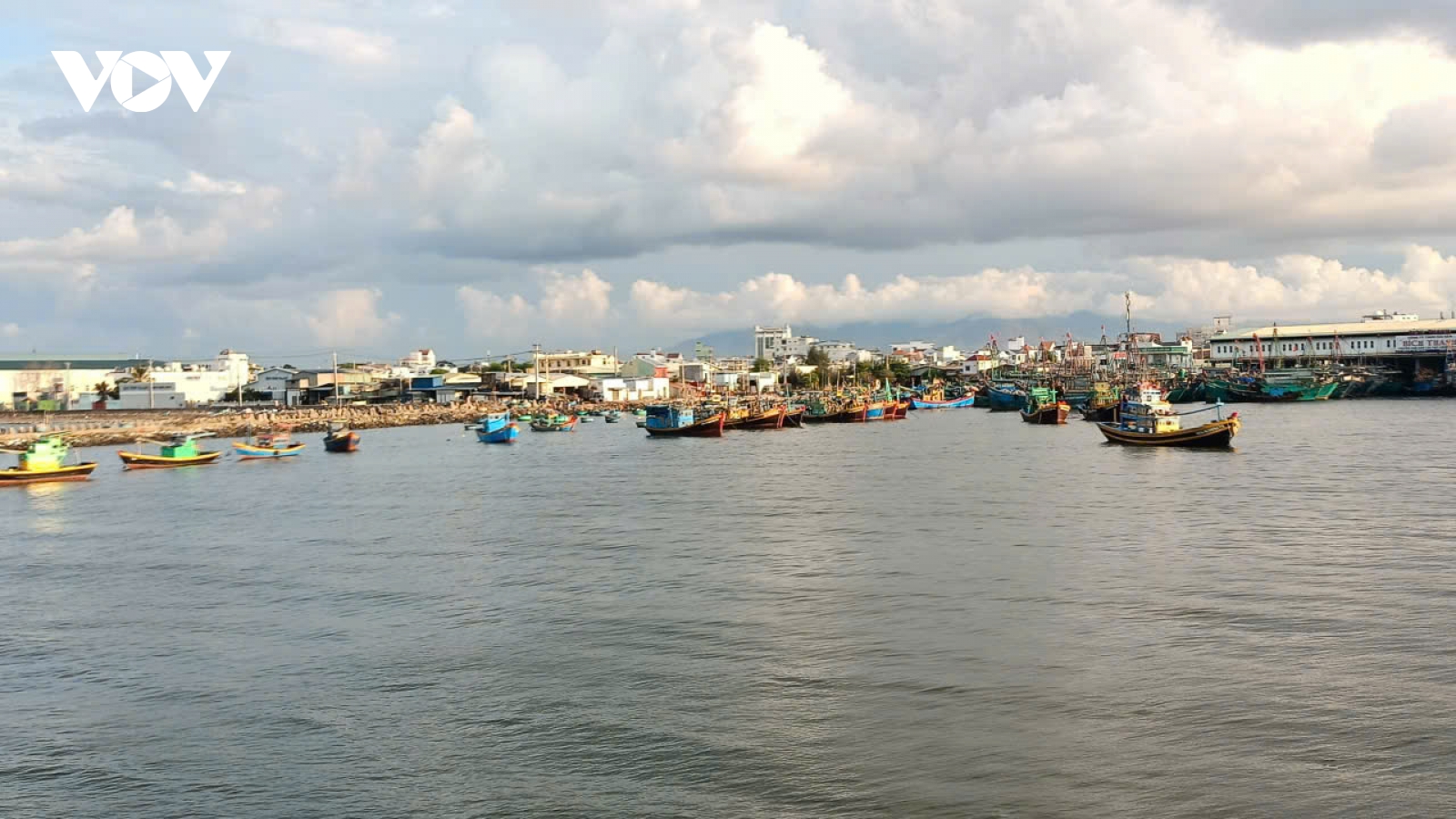 Chưa có con dấu mới, gần 800 tàu cá Lâm Đồng nằm bờ chờ đăng kiểm