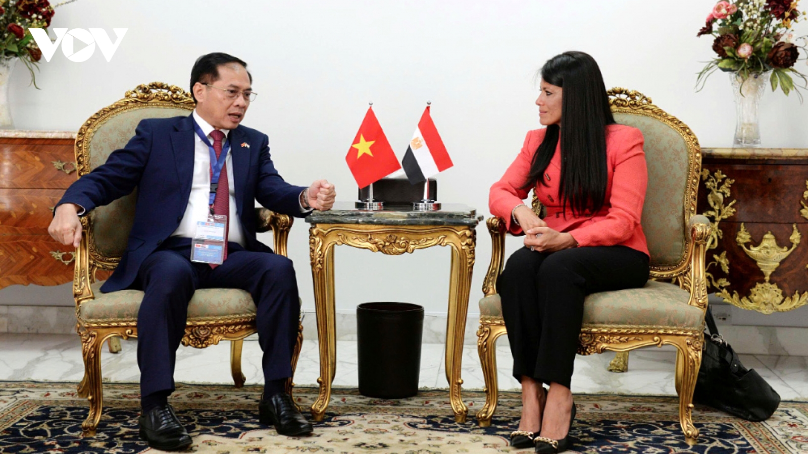 Vietnam and Egypt to realise newly upgraded partnership framework